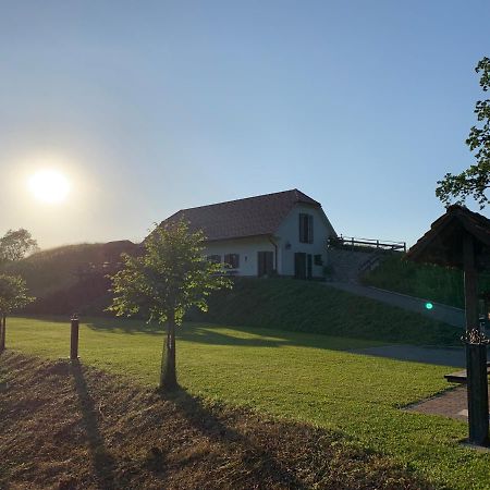 Tourist Farm Artisek Villa Store Екстериор снимка