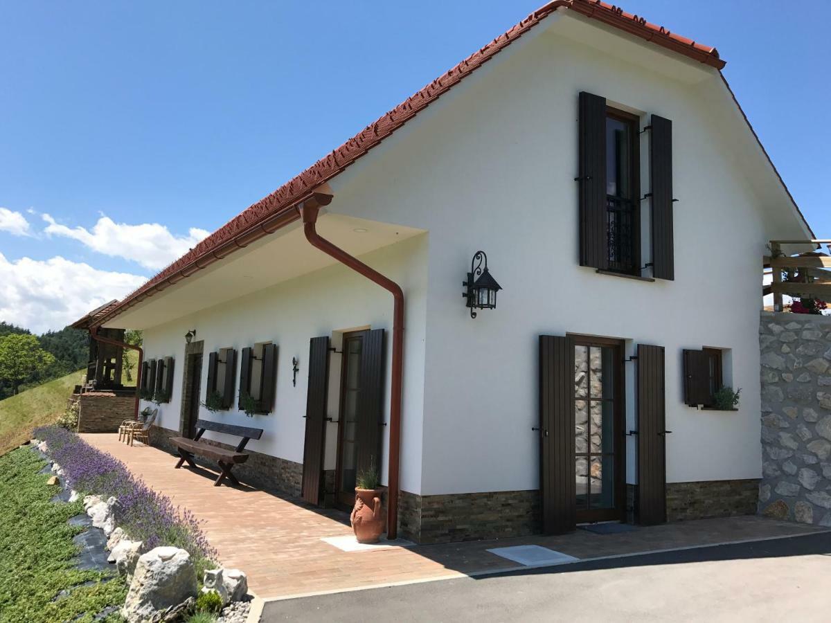 Tourist Farm Artisek Villa Store Екстериор снимка